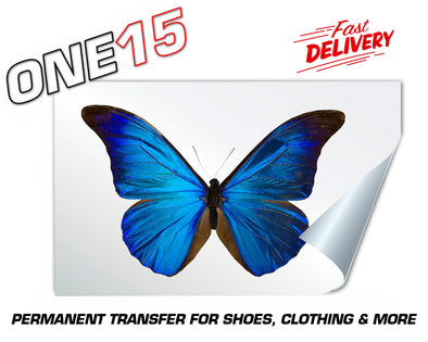 BLUE BUTTERFLY PERMANENT FULL COLOR HEAT ACTIVATED TRANSFER FOR LEATHER, FABRIC, CLOTHING ETC
