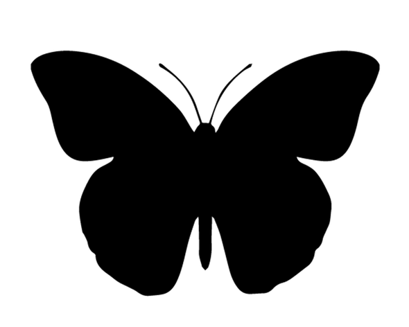 BUTTERFLY DECAL VINYL PAINTING STENCIL PACK *HIGH QUALITY*