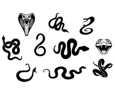 SNAKE / COBRA OUTLINE PAINTING STENCIL SIZE PACK *HIGH QUALITY*